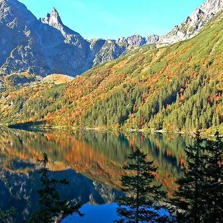 Kwatera prywatna Krupowki 36 / 8a - 2 Osobowy Z Widokiem Na Giewont *