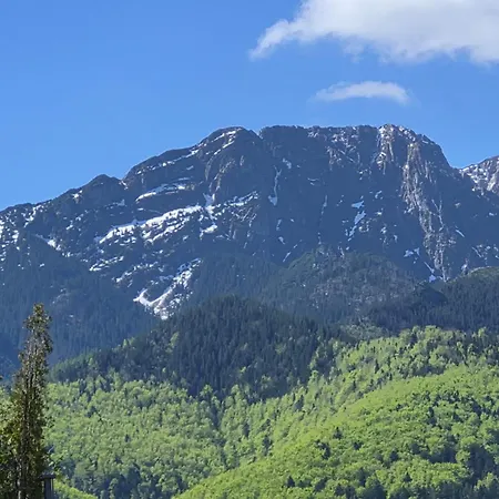 Homestay Pokoj 2 Osobowy Krupowki 36 8A Zakopane Centrum *
