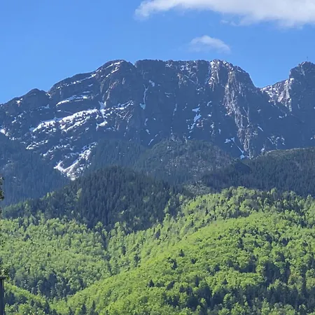 Pokoj 2 Osobowy Krupowki 36 8A Zakopane Centrum * Zakopane